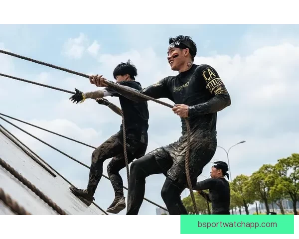 B体育赛事数据深度分析与趋势预测研究